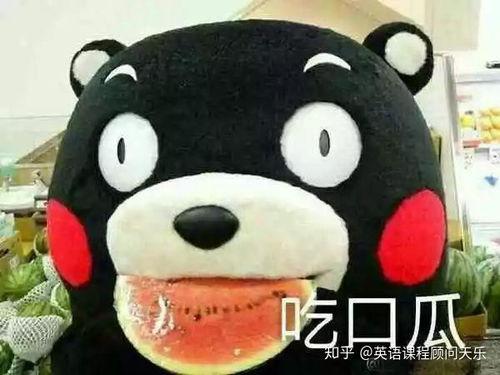 吃瓜表情的意思解释,网络社交中的幽默与讽刺