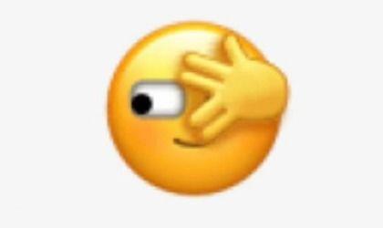 微信里吃瓜的表情什么意思