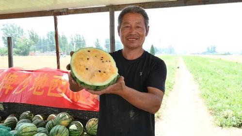 娱乐吃瓜基地,娱乐吃瓜基地独家爆料，明星幕后故事大公开